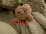 Adorable Peachy