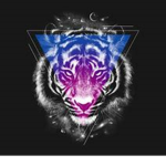 tournaments for fun
