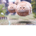 helmx