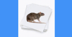 Rat Documents