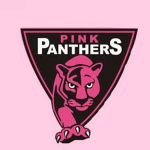 Pink panthers cheer and dance competitive team!