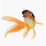 Wet Goldfish