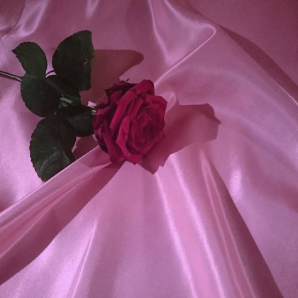 pink aesthetic Roblox decal