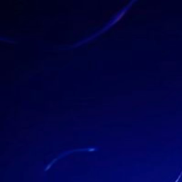 ༊·˚