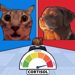 Higher Cortisol? icon