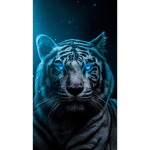 blue tiger fam