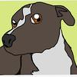 ###### The Pitbull Fan Group