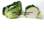 Chef cabbage’s kitchen
