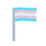 trans flag