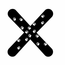 X 🐾