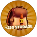 +250 Storage