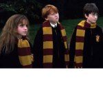 Harry Potter buddy’s