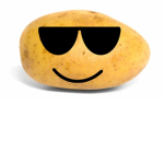 potato supporters