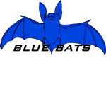 Nashville Blue Bats Football Team