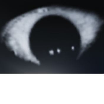 Killer Monkes (UPDATE)