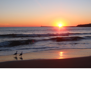 New Port International Airport