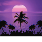 I like the beach!