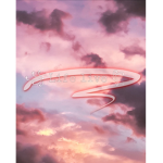 Aesthetic much-
