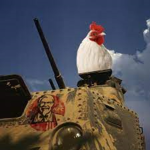 Chickencanflygroup. Chicken fan