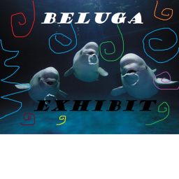 Wild arctic Beluga exhibit