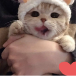 [{<윤아의 소통그룹>}]