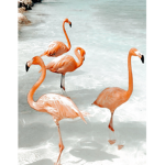 - swaggy flamingos -