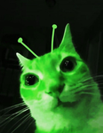 My little aliens :3