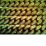 Golden rich group