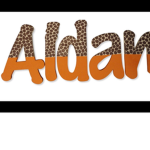 Aidan’s Fan Group