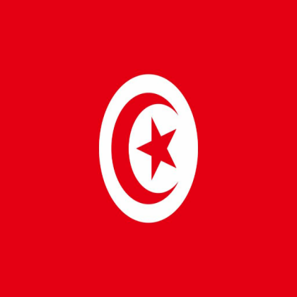 Images/tunisia-flag-image-free-download Roblox decal