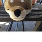Doge hitman