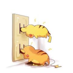 Pikachu Donates