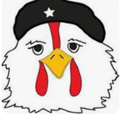 Chicken simulators