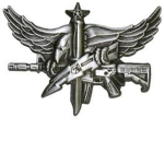 Special Weapons and Tactics [SWAT] [P]