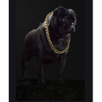 gangsta garry