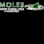 Moles Funeral Servises v3
