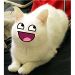 you are awesome