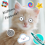 Kitten Fan Club Forever! <3