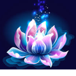 Lotus Studios Official