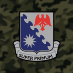Company C "Ravens", 1st Aviation Regiment