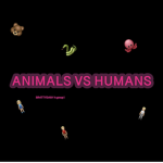 animaIs vs humans.