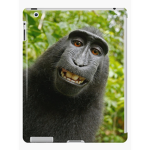 Monkey Rulers