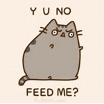 Pusheen Fans m8