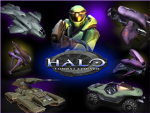 Halo Tribe