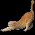 FNAF Sister Location roleplay or something