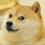 Doge Squad Fans