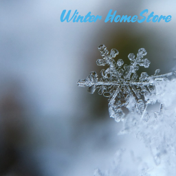 Avia's Angelsss :D Winter HomeStore