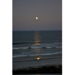 cream_moonx