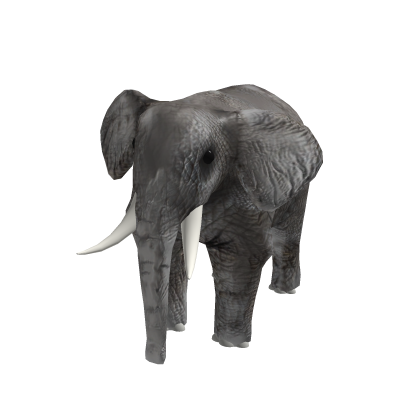 Elephant Suit