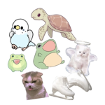 ʙᴇᴀᴄʜʏ ᴛᴜʀᴛʟᴇs